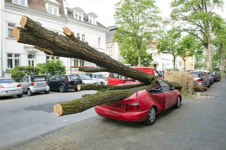 Cheapest Car Insurance in Germany: A Guide